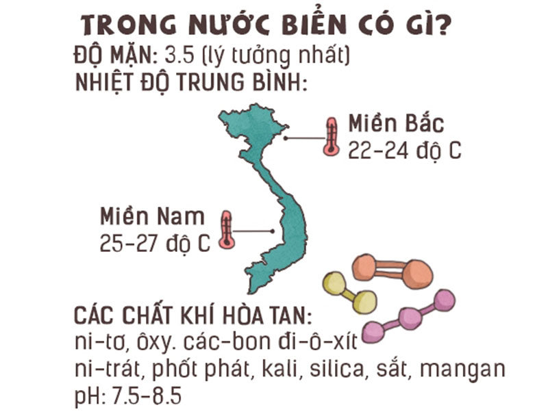 Các chỉ số quan trọng của nước biển