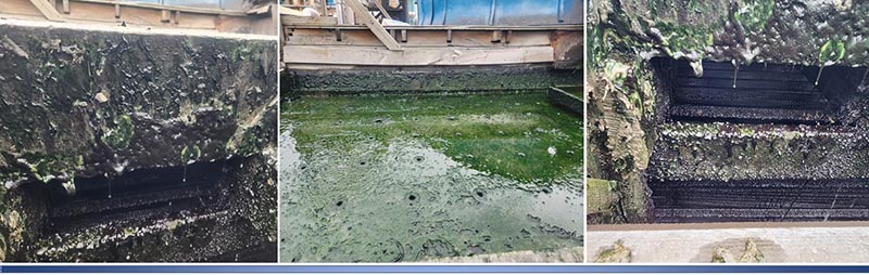 Hóa chất diệt rong rêu trong tháp giải nhiệt tiêu diệt vi sinh và rêu tảo