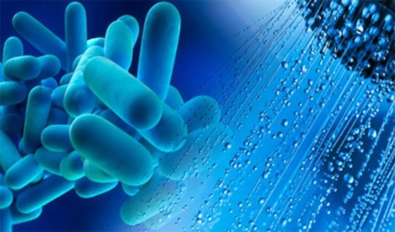 Vi khuẩn Legionella trong tháp giải nhiệt